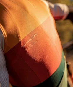 Maillot Manches Courtes Gobik Stark Nectar Homme -Vélos Urbains Magasin de vente maillot hombre stark nectar gobik warm series22 4 700x700 5