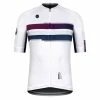 Maillot Manches Courtes Gobik Cx Pro Berry Streak Unisex -Vélos Urbains Magasin de vente maillot unisex cxpro berry streak gobik warm series22 1 700x700 1